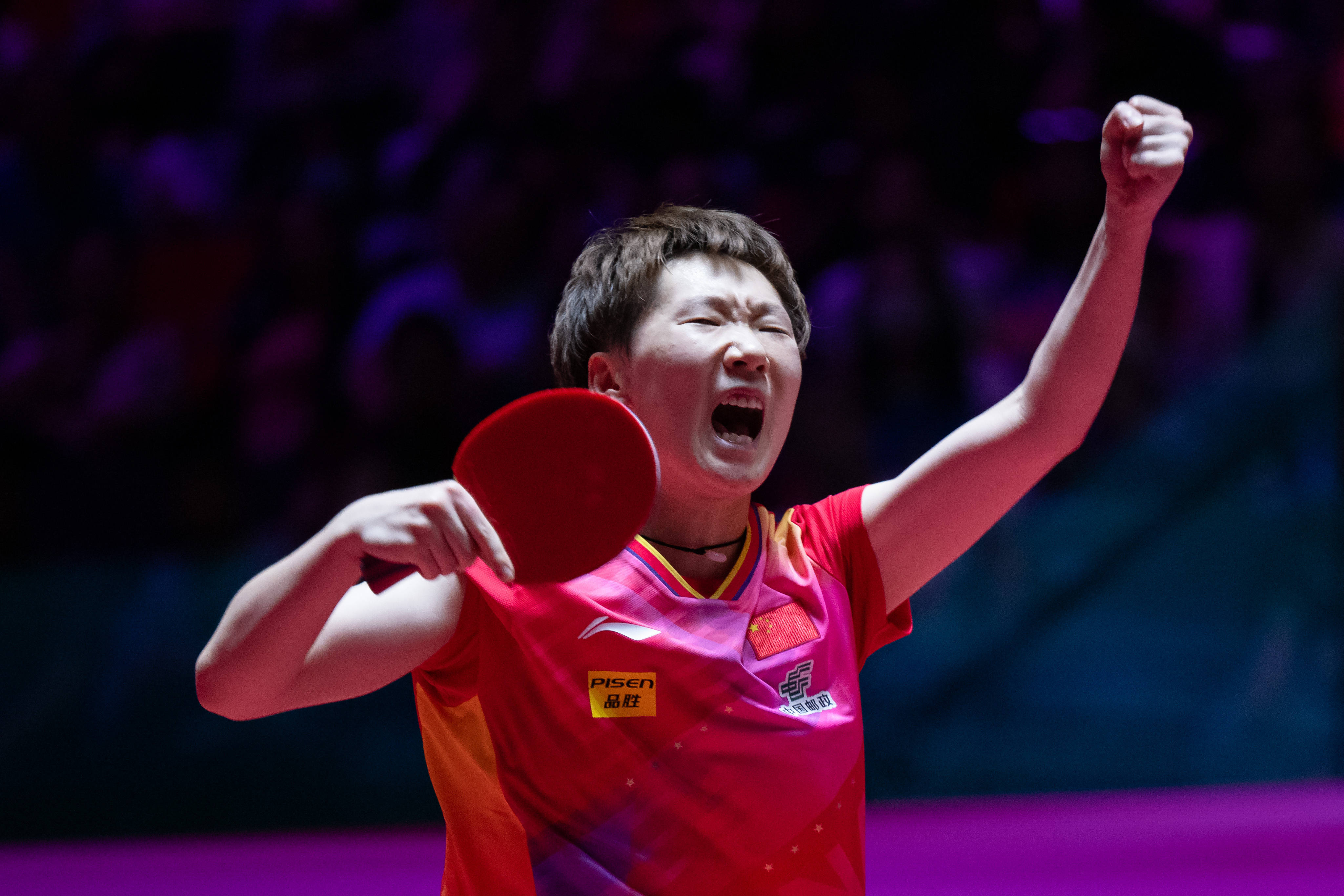 特设的赛车 特设的赛车